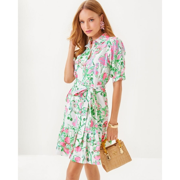 Lilly Pulitzer Dresses & Skirts - NWT Lilly Pulitzer Sashria Dress - 10